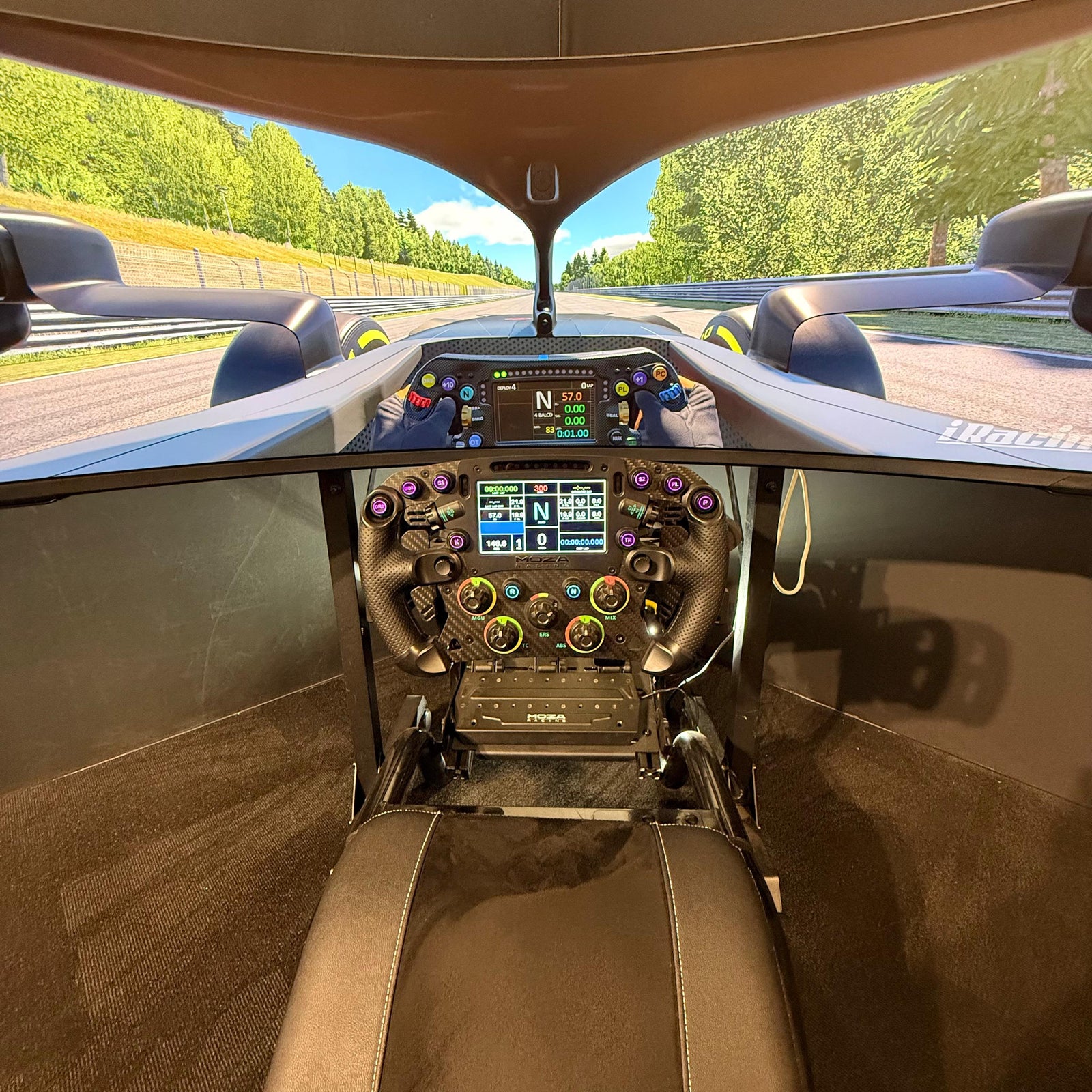 Sim Wheel Racing Performance