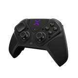 TURTLE BEACH VICTRIX PRO BFG WIRELESS CONTROLLER - GREY RELOADED PC